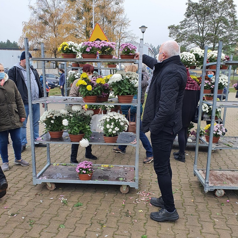 Zdjęcie z rozdawania chryzantem mieszkańcom gminy pod Szkołą Podstawową im. Jana Pawła II w Kleosinie