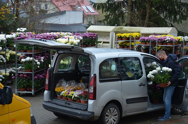 Zdjęcie z rozdawania chryzantem mieszkańcom gminy pod Ośrodkiem Kultury w Juchnowcu Kościelnym.