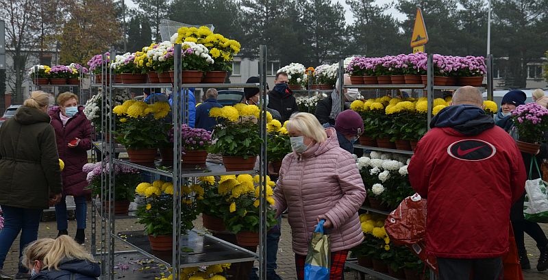 Zdjęcie z rozdawania chryzantem mieszkańcom gminy pod Szkołą Podstawową im. Jana Pawła II w Kleosinie